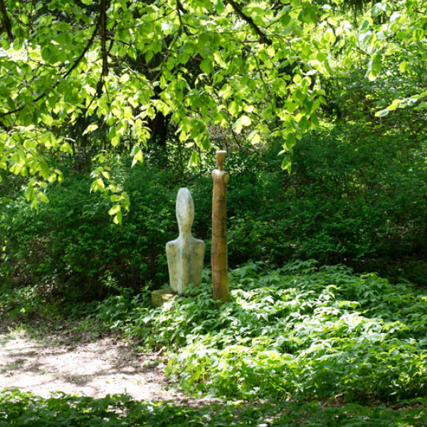 _DSC8051.jpg