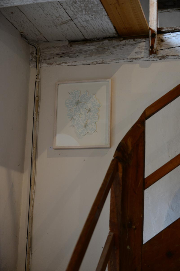 DSC_4489.jpg
