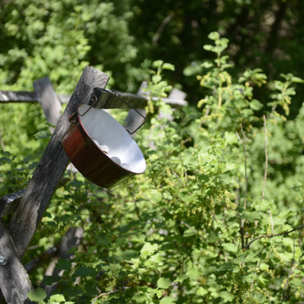 _DSC7897.jpg