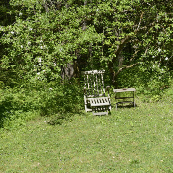 _DSC7855.jpg