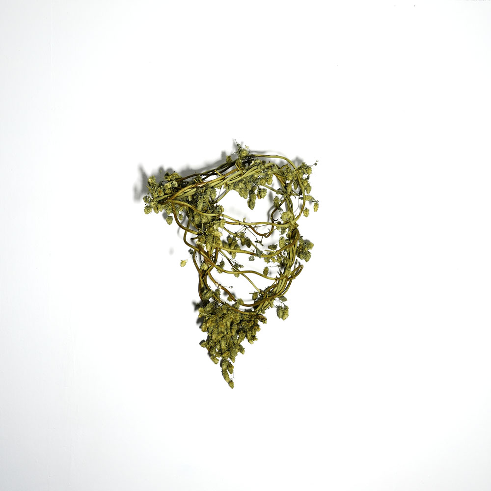 Form III_Hopfen_Hoecherl_80x50x40.jpg